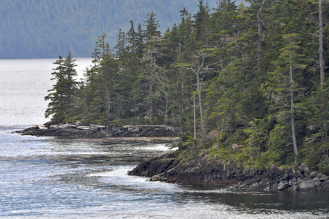 Melanie Heinrich Images - Alaska